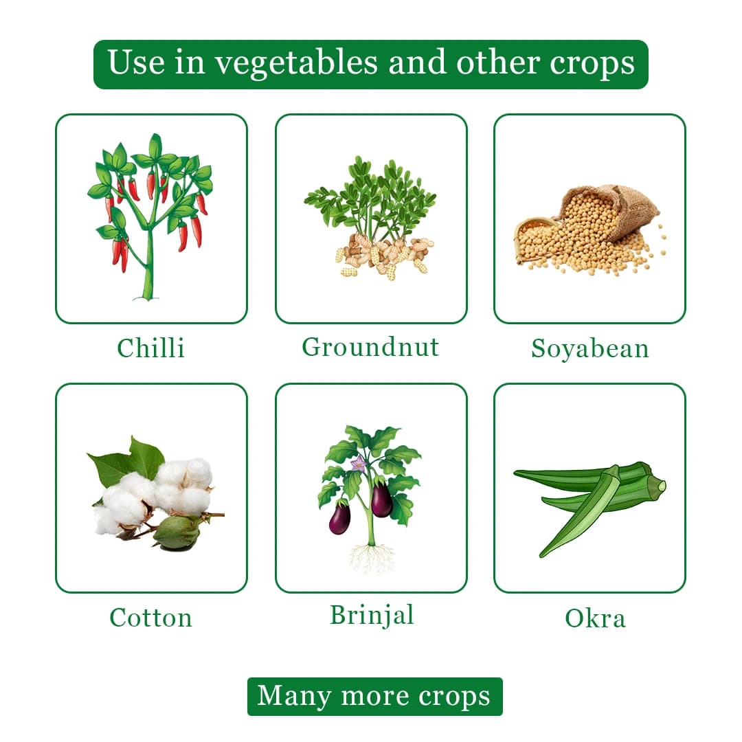 Gharda Hamla 550 Insecticide - Image 4