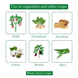 Gharda Hamla 550 Chlorpyriphos 50% + Cypermethrin 5% EC Insecticide, Systemic and Contact Action 4