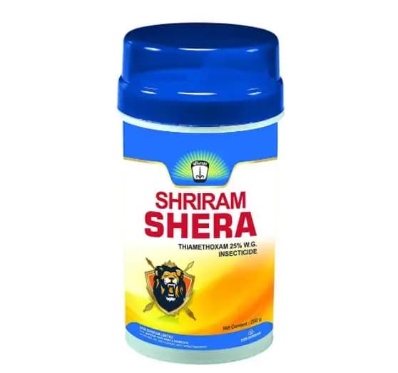Shriram Shera Thiamethoxam 25% WP Insecticides, A Granular Broad Spectrum Insecticide Which Has Quick Stomach. - Image 1