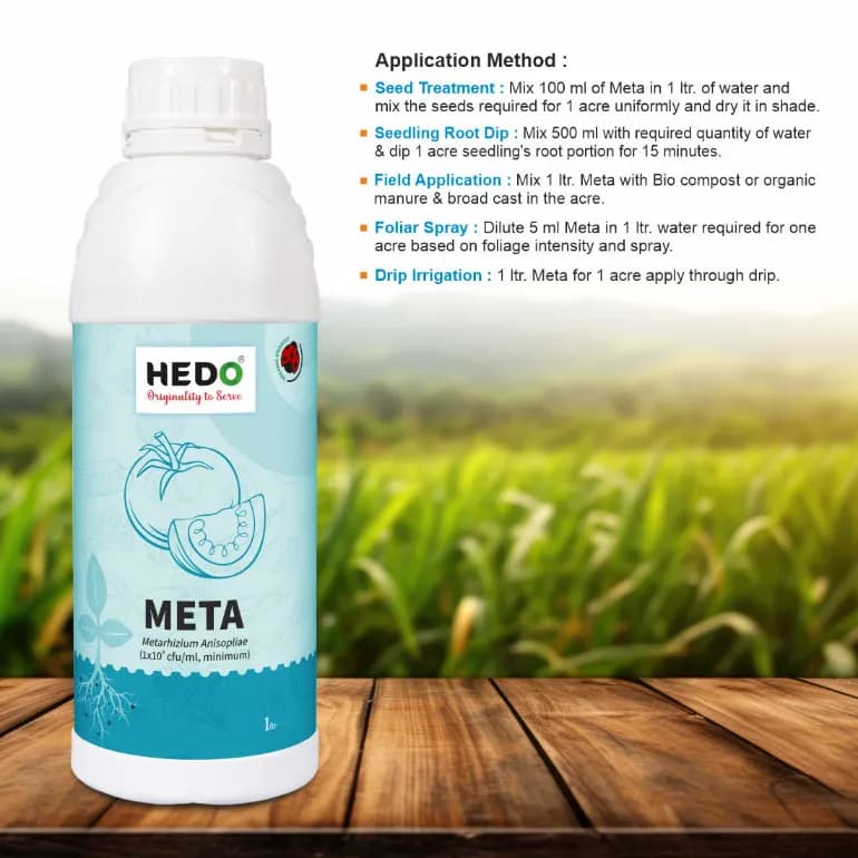HEDO Meta (Metarhizium Anisopliae) Liquid Bio Pesticide For Agriculture, Garden & All Crops To Control Beetles, Weevils, White Grubs, Aphids & Thrips - Image 4