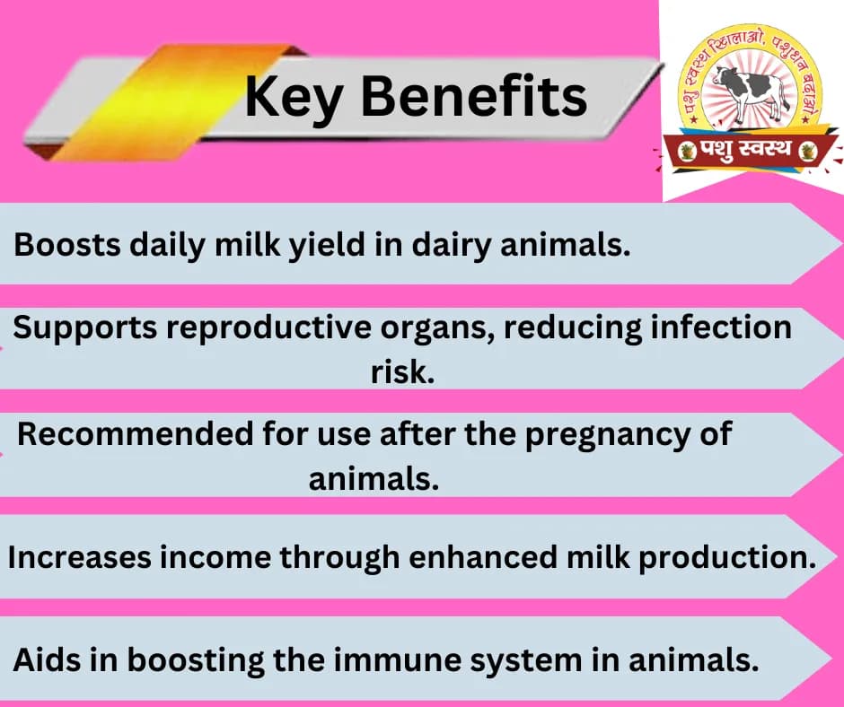 PASHU SVASTH SITAWAR POWDER, Animal Health Suppliments, Pure Herbal Blend For Healthy Milk Yield In Animals - Image 3