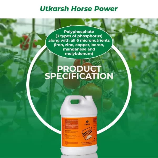 Utkarsh Horse Power (Ammonium Polyphosphate Fertilizer NPK 10:34:00), For Quick Maturity of Stem and Trunk of Plants and Trees - Image 6