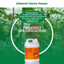 Utkarsh Horse Power (Ammonium Polyphosphate Fertilizer NPK 10:34:00), For Quick Maturity of Stem and Trunk of Plants and Trees 6