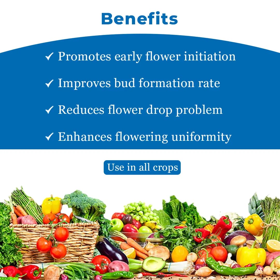 Agroveer Sugarcane Booster - Growth Promoter - Image 4