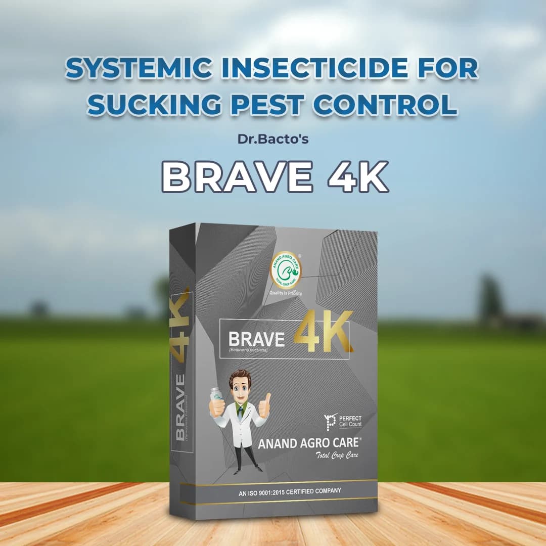 Dr. Bacto\'s Brave 4K Is Beauveria Bassiana Based On Dextrose Base Technology - Image 2