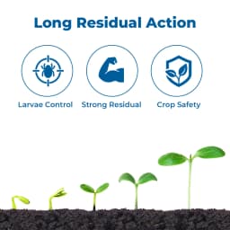 UPL Atabron Chlorfluazuron 5.4% EC Insecticides, Contact and Stomach Action Against Larvae of Spodoptera, Plutella and Heliothis 3