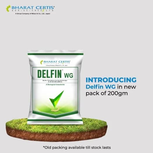 Bharat Certis DELFIN WG Bacillus Thuringiensis WG Biological Insecticide, Effective Control Lepidopteran Larvae And Caterpillars In Crops - Image 4