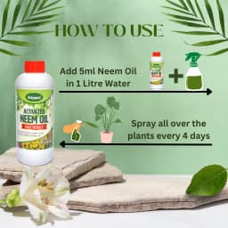 Katyayani Activated Neem Oil, Azadiractin Indica, 100% Organic Pesticide Derived From Cold Pressed Neem Oil 5