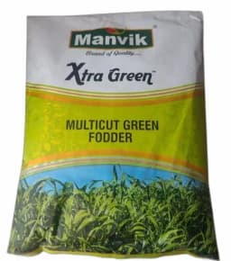 Manvik Xtra Green, Multi Cut Green Fodder, Sorghum Seeds, Multi-Cut High Nutitive Fodder 2