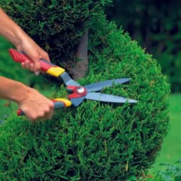 Wolf Garten Hedge Shears (HS-B), Specially Designed To Be Used On Box Trees And Other Topiary Plants 3