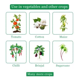 Star One - Larvicide for Bollworms, Fruit and Shoot Borer, and Leaf Miner, Non-Toxic and Effective Against All Larvae 5