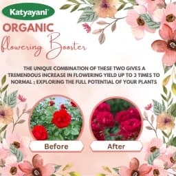 Katyayani Flowering Fertilizer Booster for All Flowering Plants Roses, Orchids, Hibiscus, Jasmine, etc with Mix Micro Nutrient Super for Home Garden 3