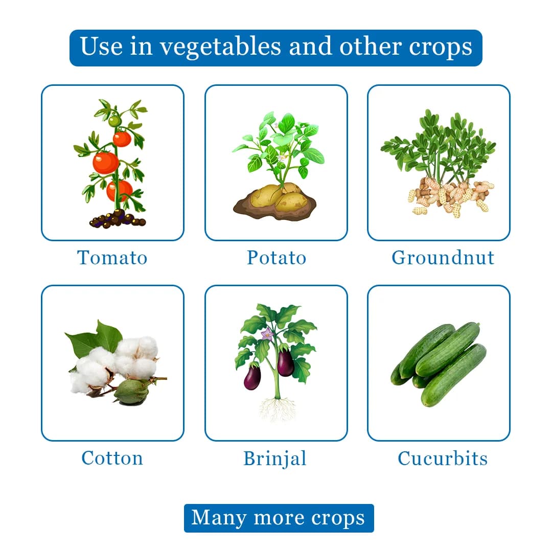 NCS Tejas Super Insecticide - Image 4