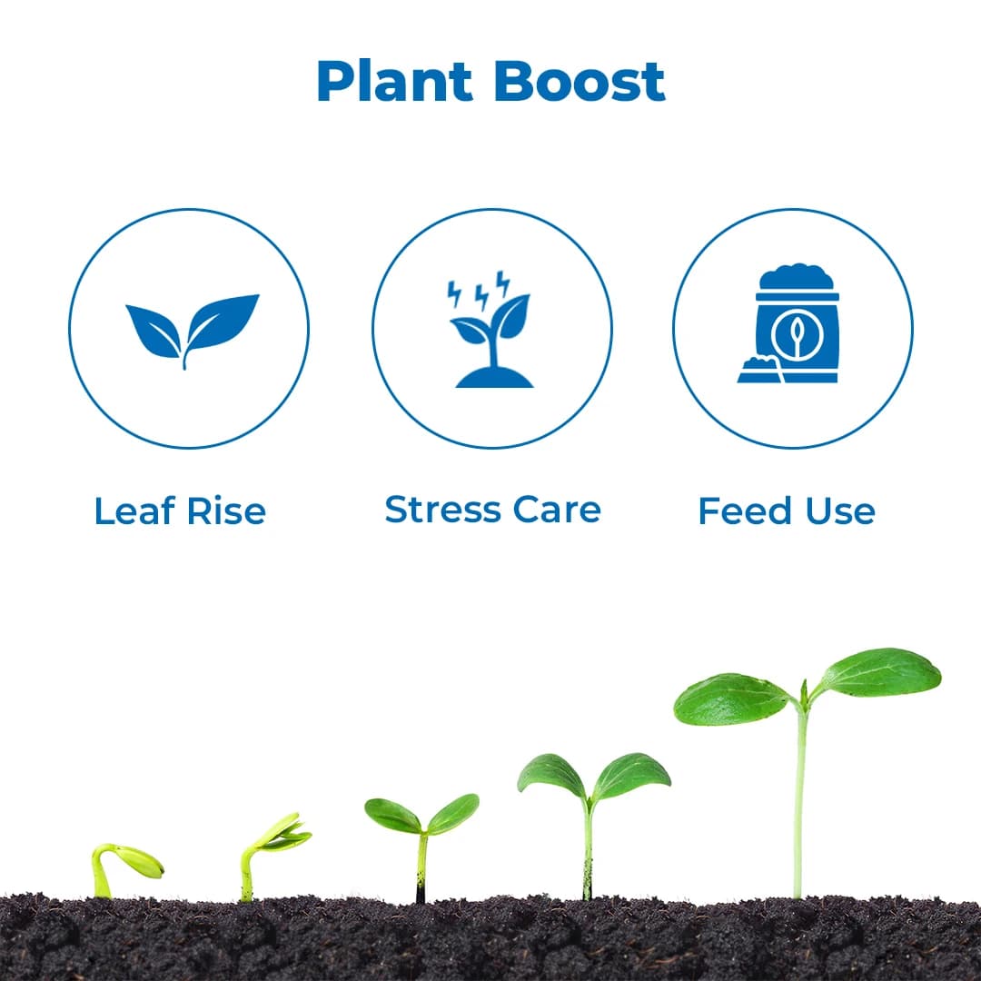 Anand Sea Ruby (Liquid) Green Seaweed Extract, Provides Natural N.P.K, Improves The Development Of Roots And Shoots - Image 3