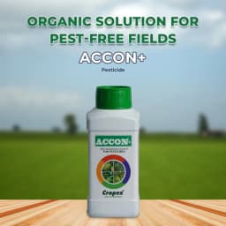 Accon+ Spray Performance Adjuvant For Pesticide, Bactericide, Virucide, and Fungicide Spray 2