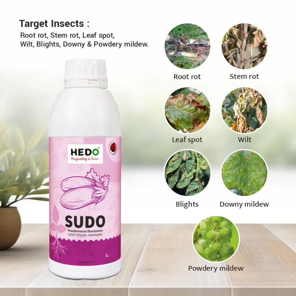 HEDO Sudo (Pseudomonas Fluorescence) Liquid Bio Fungicide, Effective Against A Wide Range Of Soil, Seed, And Air Borne Plant Diseases - Image 6