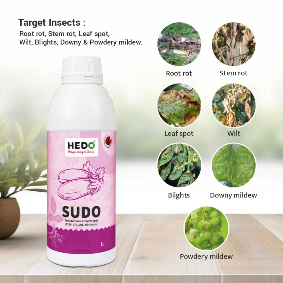 HEDO Sudo (Pseudomonas Fluorescence) Liquid Bio Fungicide, Effective Against A Wide Range Of Soil, Seed, And Air Borne Plant Diseases