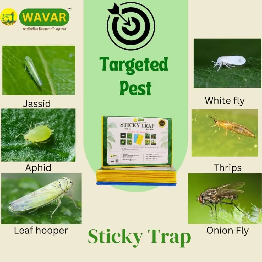 WAVAR Sticky Trap A5 Size, 20 Yellow And 5 Blue Combo, 6 x 8 Inch, 3mm Thickness, Eco Friendly Pest Control Solution - Image 3