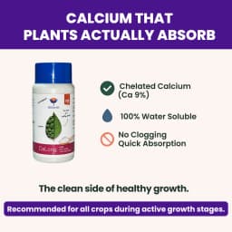 Utkarsh CaLong (Calcium-Ca 9%, EDTA Chelated Fertilizer) 100% Water Soluble Foliar Spray 5