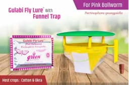 Funnel Trap With Gulabi Fly Lure (Pectinophora Gossypiella) For Pink Bollworm, Best For Cotton and Okra 2