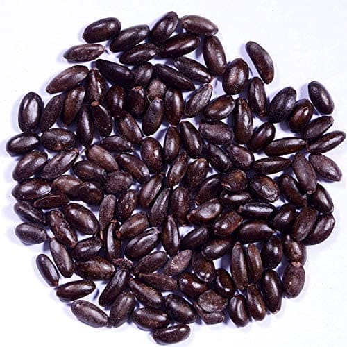 SRI SAI FORESTRY Custard Apple Seeds, Sitafal Ke Beej, Sugar Apple Seeds, Sweetsop Seeds, Annona squamosa Fruit Tree Seeds - Image 7