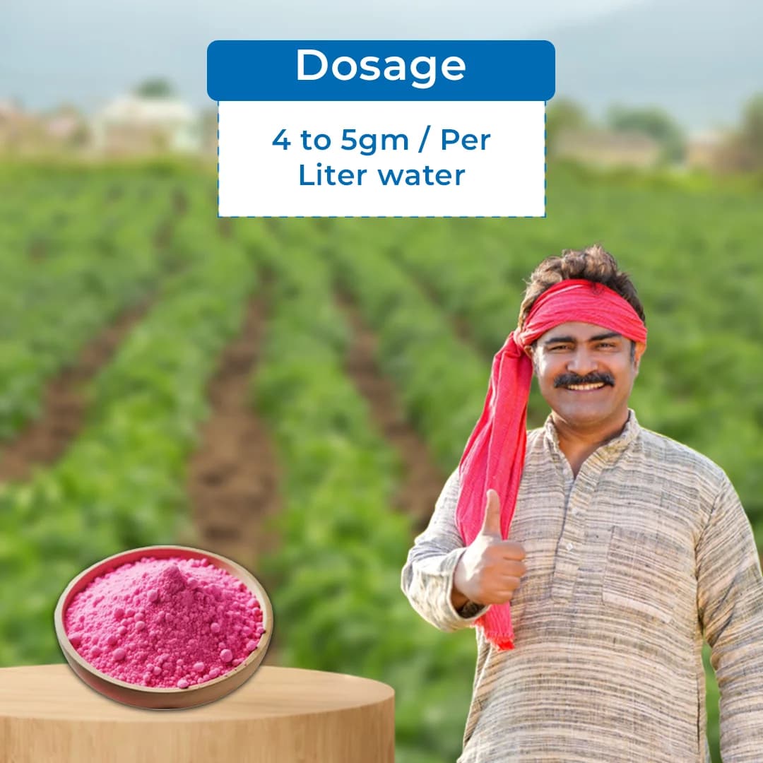 Gacil NPK 19:19:19 Fertilizer - Image 5