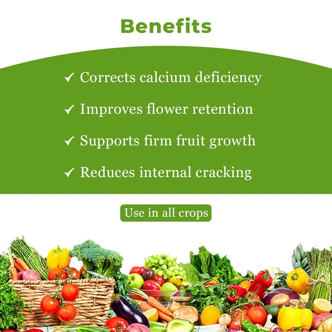 Calcixon Cal-SL Fertilizer - Calcium + Boron + Amino acid - Image 4