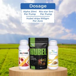 Chilli Virus Special For Pre-Treatment (Set of Alpha 250 ML + Nio Star 100 ML + Hubel 900 GM) Best Effect On Chilli Virus 6