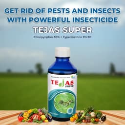 Tejas Super Insecticide - Chlorpyriphos 50% + Cypermethrin 5% EC 2
