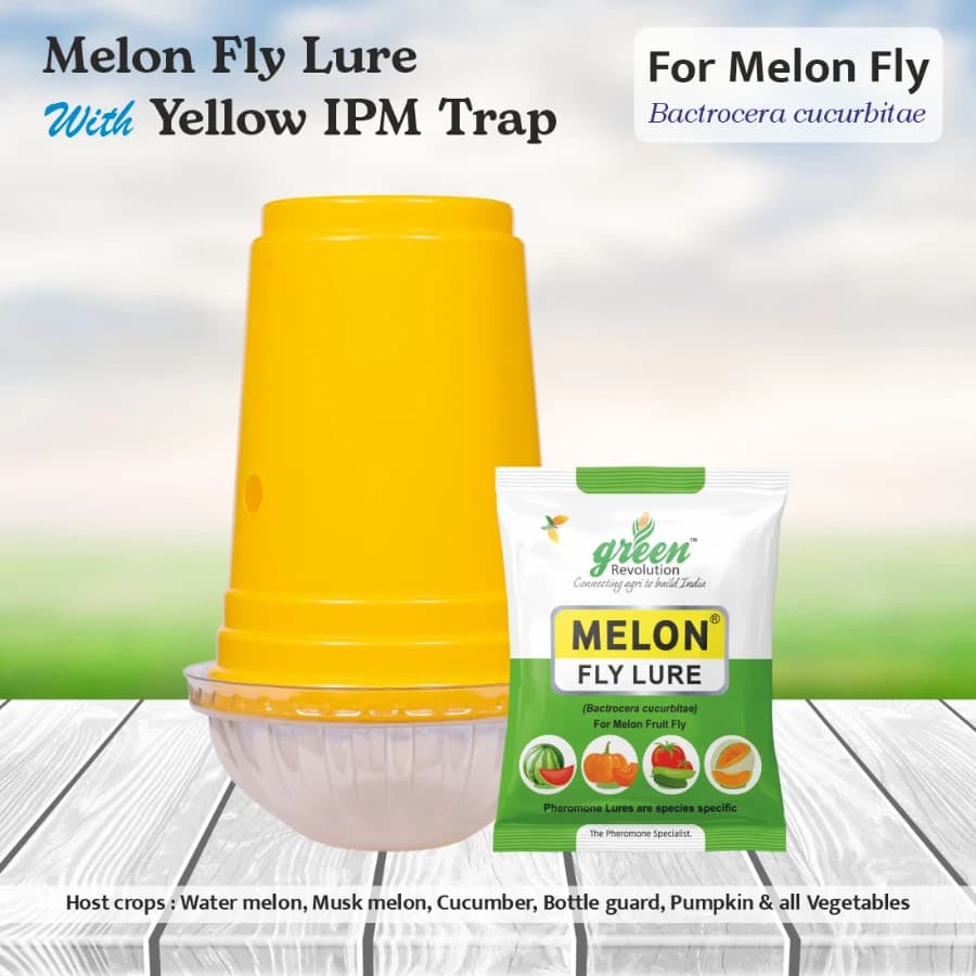 Green Revolution Yellow IPM Trap With Melon Fly Lure, Effective For Fly Control In Vegetable - Image 2