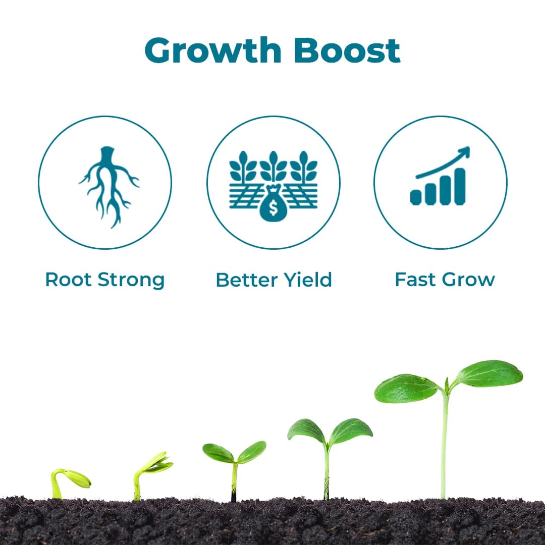 BACF Xon Plant Growth Promoter with NPK Bacteria, PGPR, Sea weed, Humic, Fermentation media with Contact and systemic action - Image 3