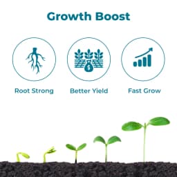 BACF Xon Plant Growth Promoter with NPK Bacteria, PGPR, Sea weed, Humic, Fermentation media with Contact and systemic action 3