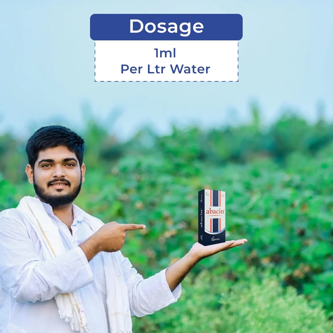 Crystal Abacin Insecticide - Image 5