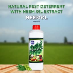 Neemol - Greenpeace Neem Oil Extract Azadirachtin 10000 PPM, Natural Insecticide. 2