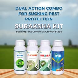 Suraksha Kit Sucking Pest Control at Growth Stage 40-45 Days (F-Zone 250 ML + Miraj 250 ML + Spring Ever 1 Ltr + NB 80 250 ML) 2