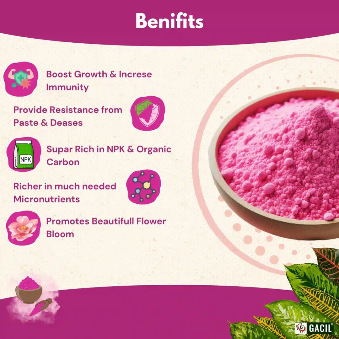 GACIL Plus Complete NPK 19:19:19 Fertilizer For Lush Vegetables, Juicy Fruits, And Stunning Flowers - Image 8