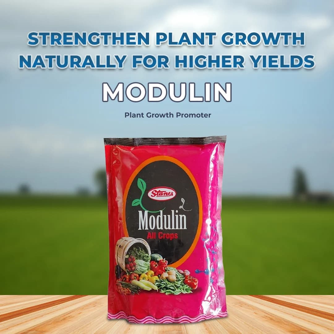 T.stanes Modulin Foliar Bio Stimulant, Organic Mineral Activators, Promote Plant Metabolic Activities for An Increase Number of Flowers and Growth - Image 2