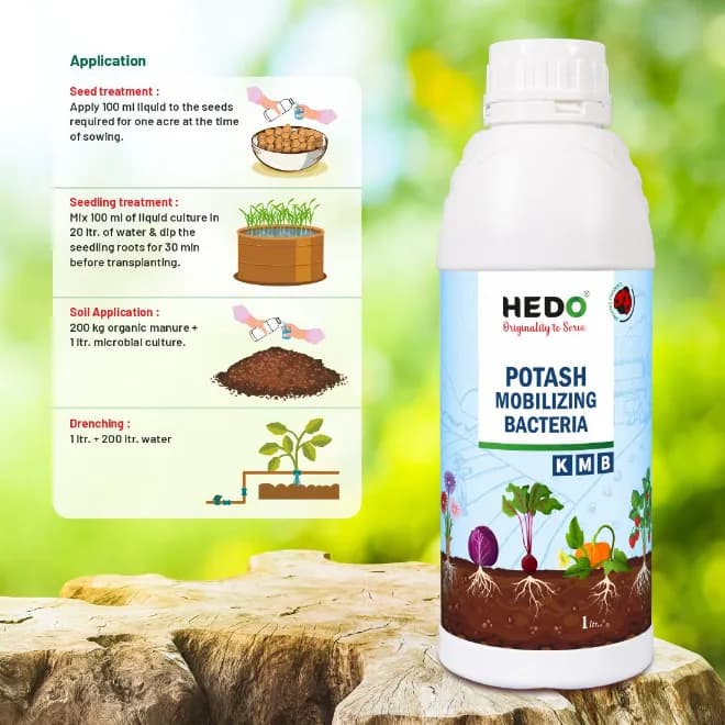 HEDO Potassium Mobilizing Bacteria (KMB) Liquid Bio Fertilizer, To Increase The Fruit Quality & Growth Of The Crops - Image 4
