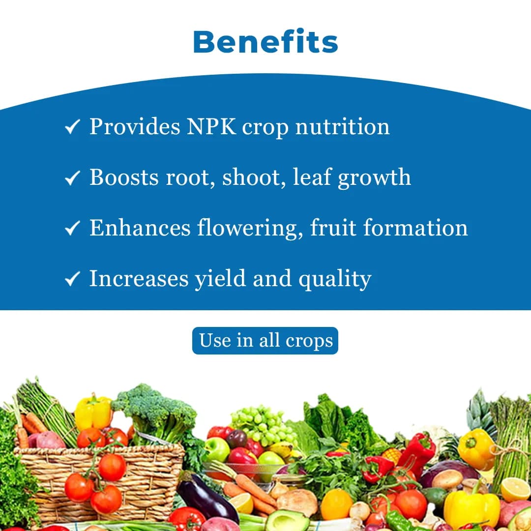 Borofix Boron Ethanolamine, Boron 10% Micro-Nutrient Fertilizer for all Crops, Improves Fruiting and Growth - Image 4
