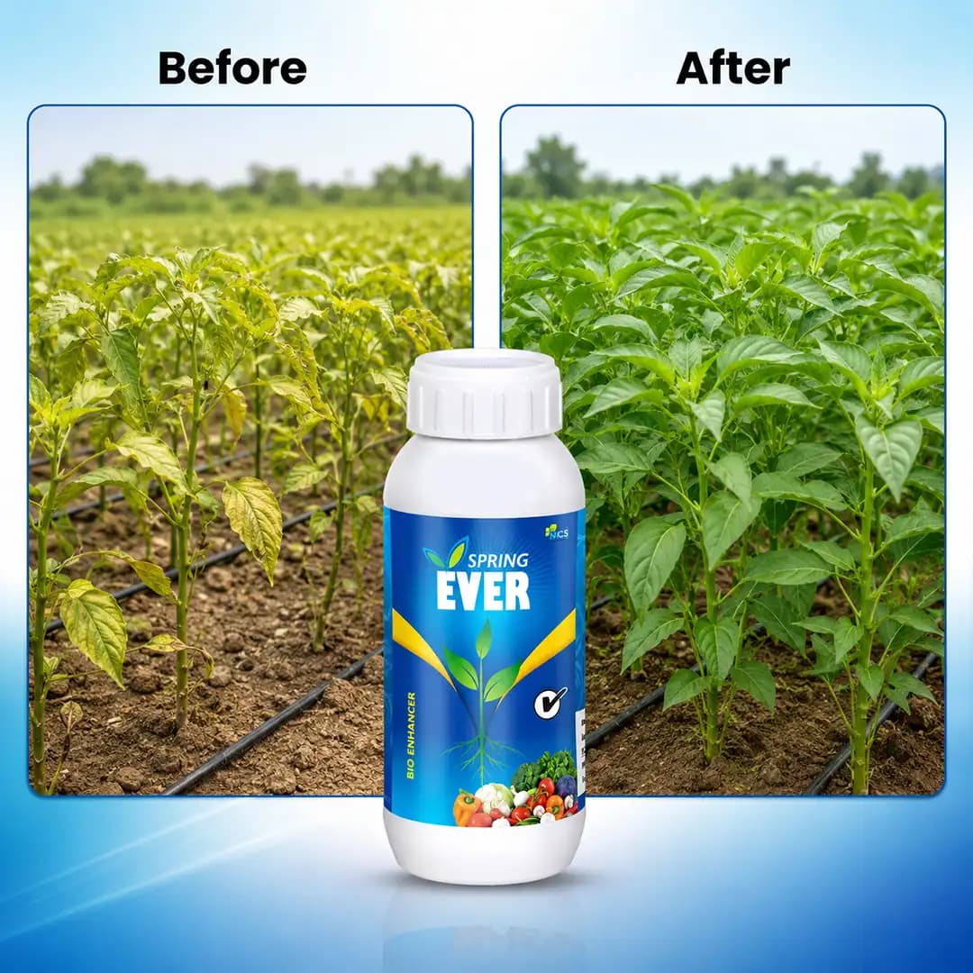 Spring Ever - Plant Growth Promoter - Image 6