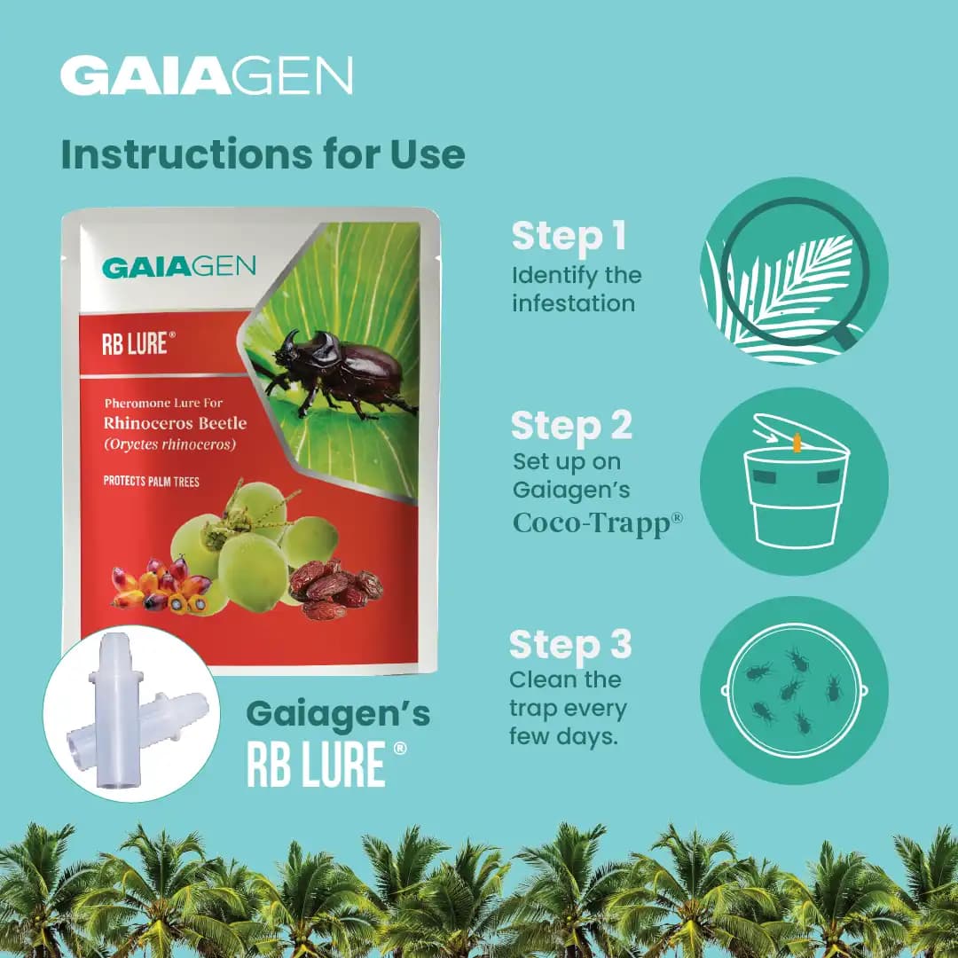 Gaiagen RB Lure- Pheromone Lure for Rhinoceros Beetle (Oryctes Rhinoceros), Pack of 5 (Does Not Include Traps) - Image 6