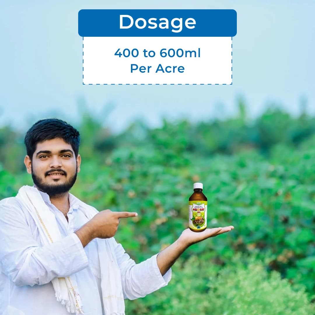 BACF Priorat 404 Insecticide - Image 5