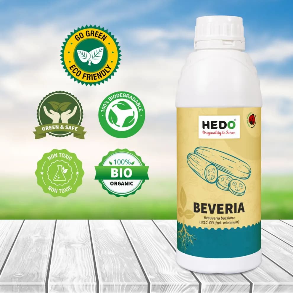 HEDO Beveria (Beauveria Bassiana) Liquid Bio Pesticide, Controls Sucking Pests, Grubs, Termites, And Bollworms Effectively - Image 7