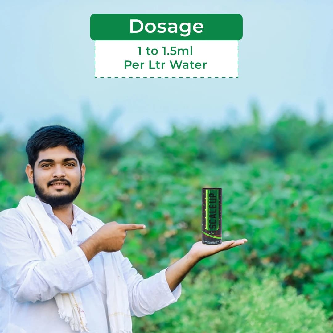 Anand Agro Scale Up - Brassinolide Plant Growth Regulator - Image 5