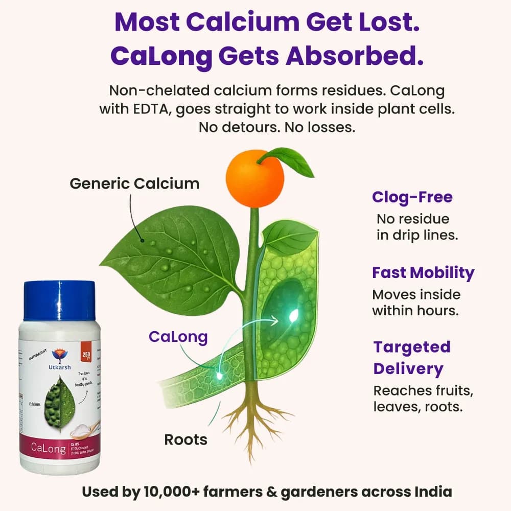 Utkarsh CaLong (Calcium-Ca 9%, EDTA Chelated Fertilizer) 100% Water Soluble Foliar Spray - Image 3