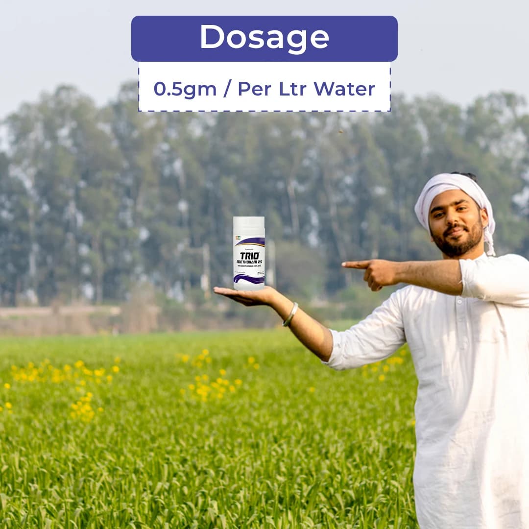 Titan Agritech TRIO METHOXAM 25 Thiamethoxam 25% WG Insecticides, Effective Control of Caterpillars, Mosquito and Other Flies In Crops - Image 5