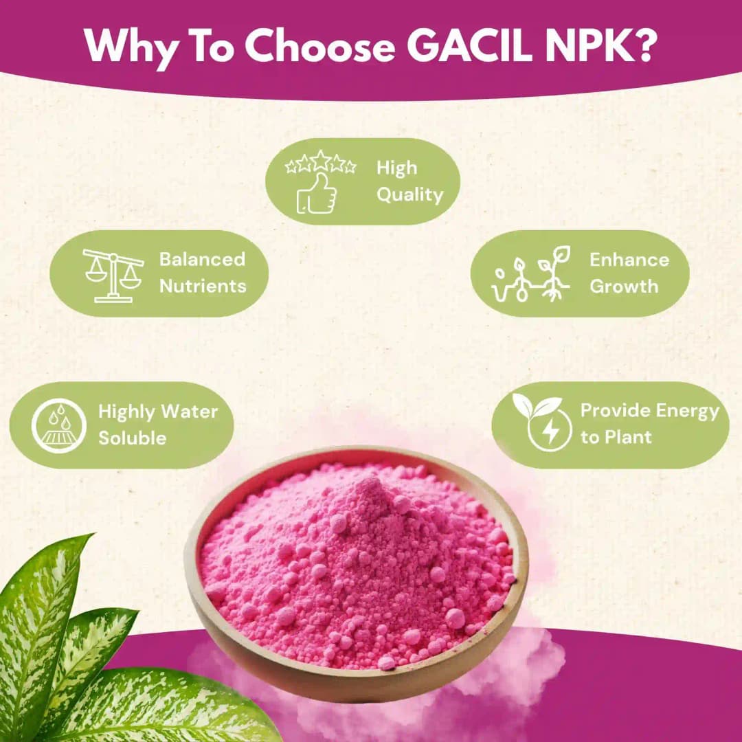 GACIL Plus Complete NPK 19:19:19 Fertilizer For Lush Vegetables, Juicy Fruits, And Stunning Flowers - Image 7