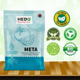 Hedo Meta (Metarhizium Anisopliae) Bio Pesticide, Effective Pest Control Against A Wide Range Of Insects 7