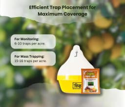 Chipku Fly Magnet Oriental Fruit-Fly With Max Plus Trap, Bactocera Dorsalis Catcher With Attractant Lure For Mango, Sapota, Papaya, Guava 2