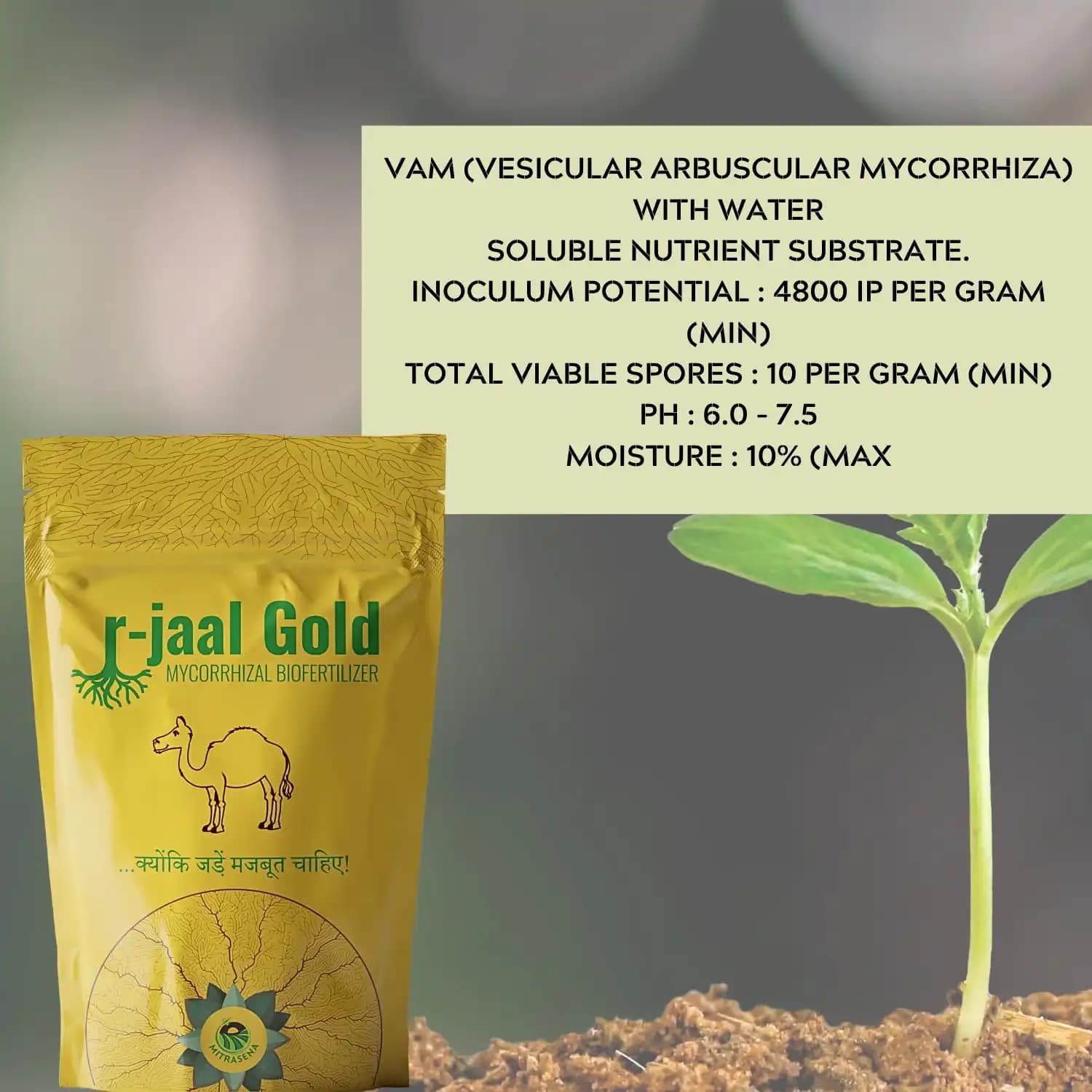 Biowall r-Jaal Gold VAM (Vesicular Arbuscular Mycorrhiza) Root Development and Nutrient - Image 4